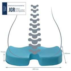 Active Ergo Cosy Sitzkissen, blau