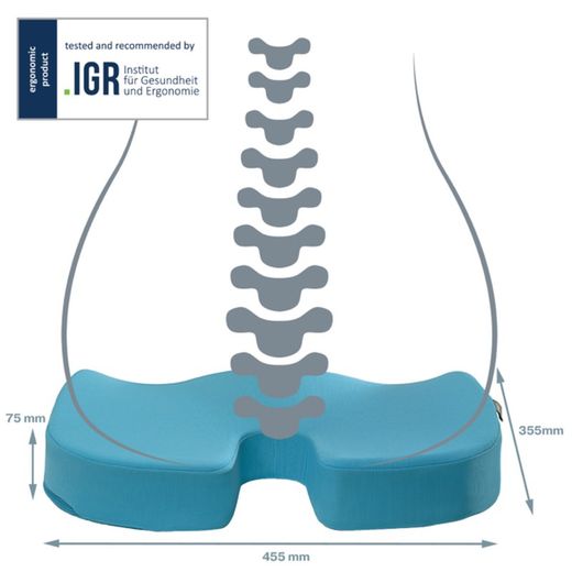 Active Ergo Cosy Sitzkissen, blau