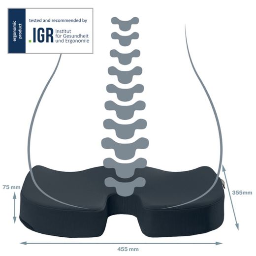 Coussin de siège Active Ergo Cosy, gris