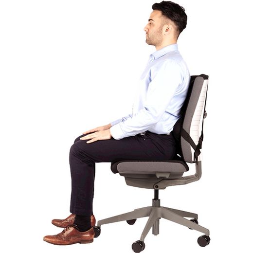 Ergonomisk lændepude i professionel serie