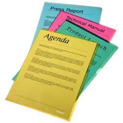 Esselte Nageldossier (Box mit 100). P.P. 110 Mikron. Orangenschale. Modell 31P. DIN A4, transparent