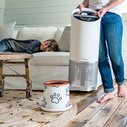 HEPA-filter för husdjur (stort)