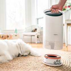 HEPA-Filter für Haustiere (klein)