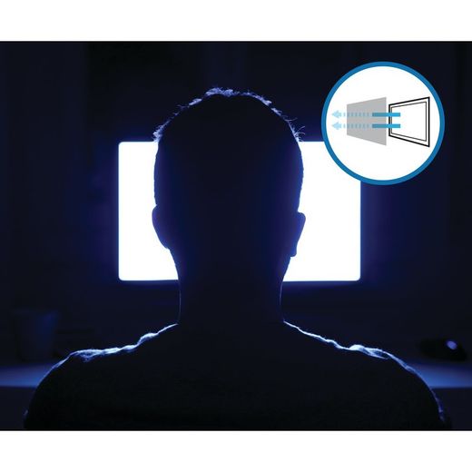 Filtri per la privacy - Rimovibili a 2 vie per monitor 16:9 da 24".