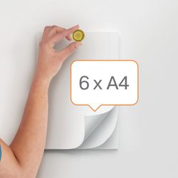 Magneti NOBO (confezione 6) colori assortiti