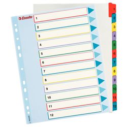 Índice de proyectos multitaladro. DIN A4. Borra y Re-Escribe. Pestañas 1-12, multicolor