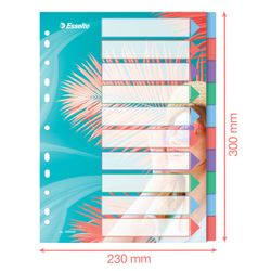 Esselte Colour'Breeze multi-drill index. P.P. A4. 10 tabs, multicolored