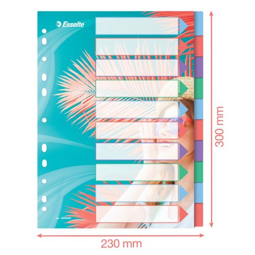 Esselte Colour'Breeze multi-drill index. P.P. A4. 10 tabs, multicolored