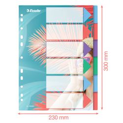 Indice Esselte Colour'Breeze multi-trapano. PP A4. 6 schede, multicolore