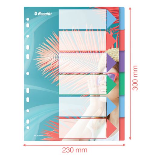 Indice Esselte Colour'Breeze multi-trapano. PP A4. 6 schede, multicolore