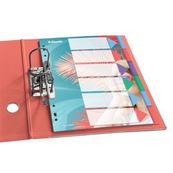 Indice Esselte Colour'Breeze multi-trapano. PP A4. 6 schede, multicolore