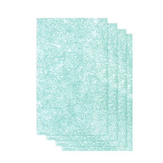 Confezione da 4 prefiltri per AeraMax Pro AM2