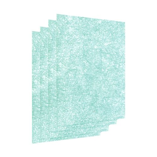 Confezione da 4 prefiltri per AeraMax Pro AM2