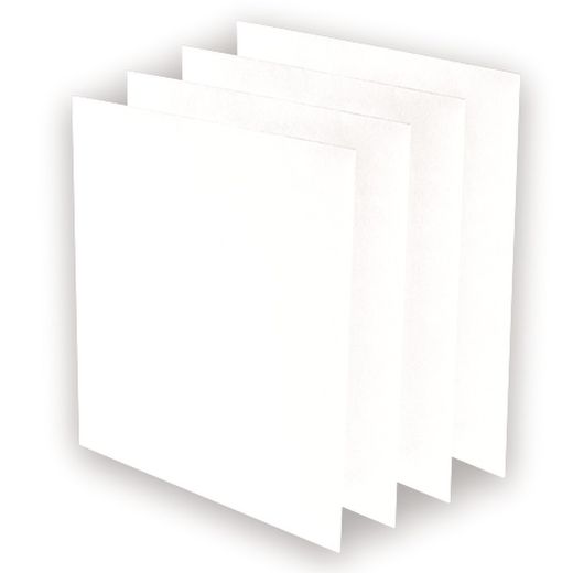 Confezione da 4 prefiltri per AeraMax Pro AM2