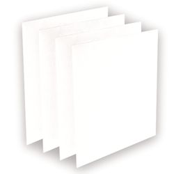 Confezione da 4 prefiltri per AeraMax Pro AM3 e AM4