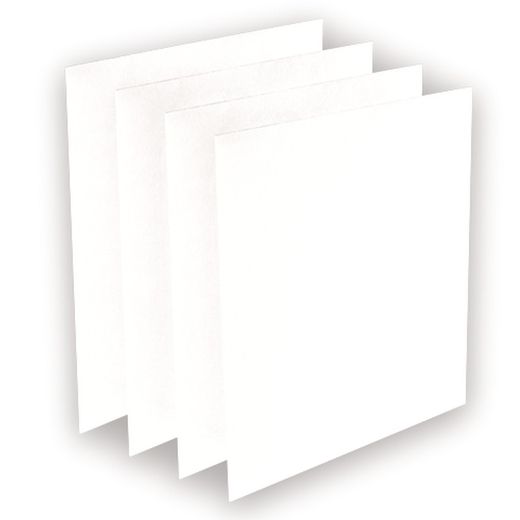 Confezione da 4 prefiltri per AeraMax Pro AM3 e AM4