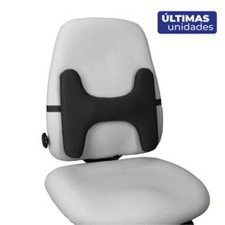 Respaldo lumbar con forma exclusiva.