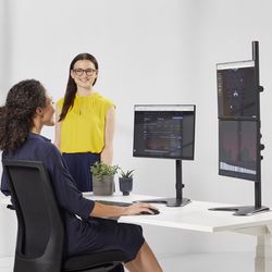 Podstawa pionowa z dwoma monitorami z serii Professional