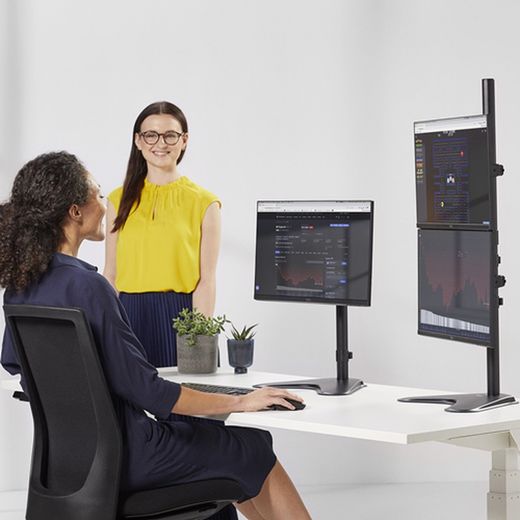 Podstawa pionowa z dwoma monitorami z serii Professional